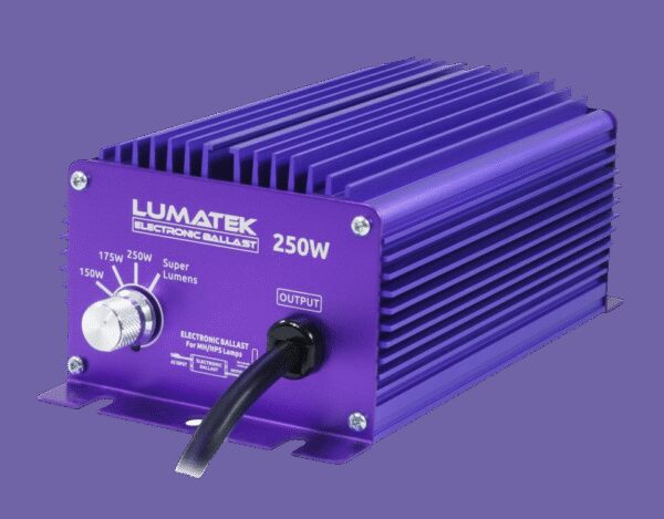 Lumatek Lumatek EVSA - Standaard Dimbaar ~ 240V