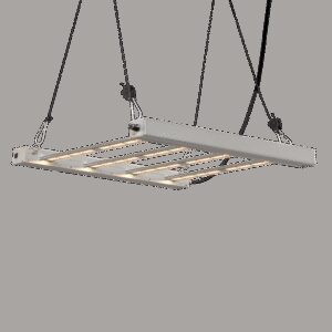 G-Tools G-tools G-Bars 170 Watt met Dimmer