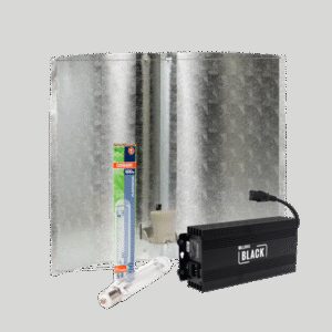Osram Lumii Black + Azerwing Medium + Osram Plantastar 600 Watt