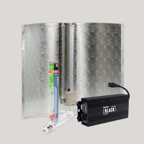 Osram Lumii Black + Azerwing Medium + Osram Plantastar 600 Watt