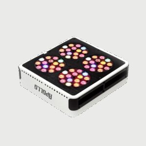 Apollo Apollo LED Grow Innovations
