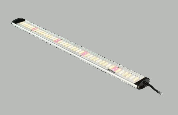 Apollo Apollo LED Falcon