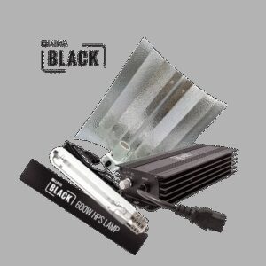 LUMii Lumii Black Set