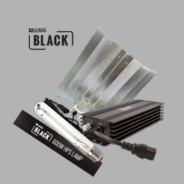 LUMii Lumii Black Set