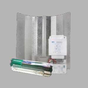 Sylvania ELT + Hamerslagkap + Sylvania Grolux 600 Watt