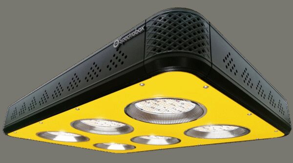 Spectrabox Spectrabox XTR2 LED